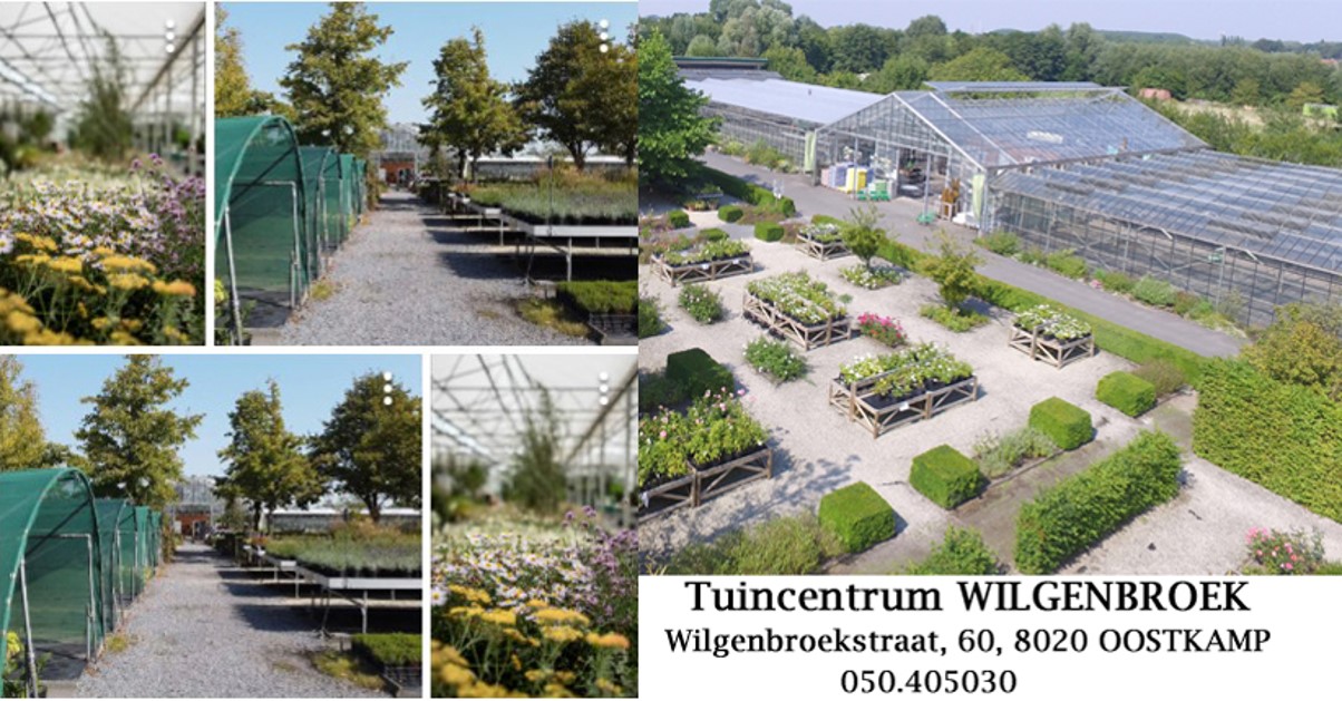 TuinCentrum WIlgenbroeck