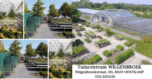 TuinCentrum WIlgenbroeck